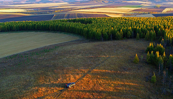 沙雅縣努爾巴格鄉(xiāng)英阿瓦提村股份經(jīng)濟合作社